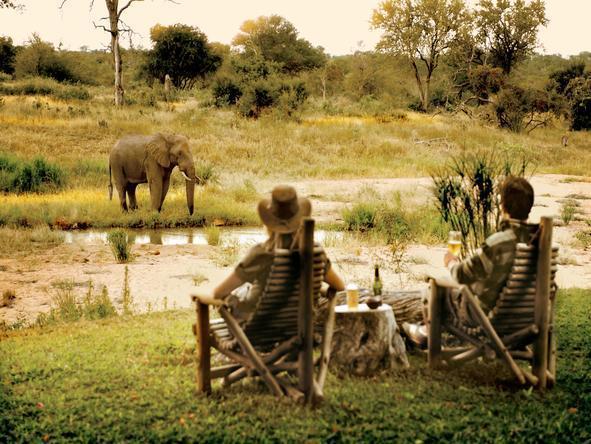 Motswari Game Lodge - Waterhole 